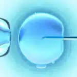 Japan Updates Embryo Model Research Rules Amid Global Ethical Shifts