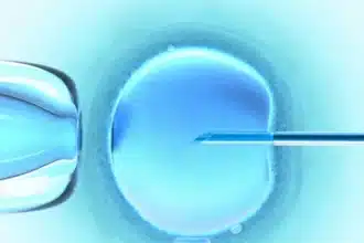 Japan Updates Embryo Model Research Rules Amid Global Ethical Shifts