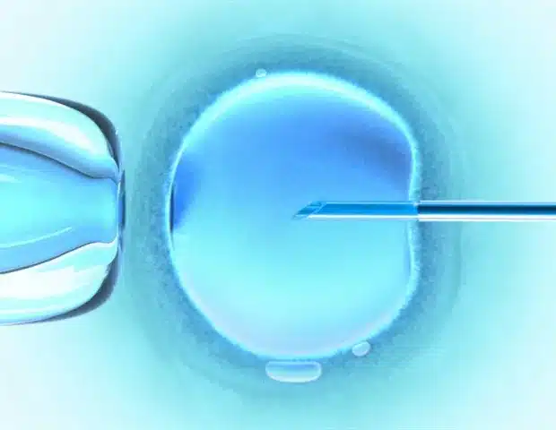 Japan Updates Embryo Model Research Rules Amid Global Ethical Shifts Japan Updates Embryo Model Research Rules Amid Global Ethical Shifts