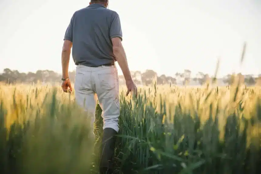National Farmers’ Federation Champions Enhanced Traceability Systems