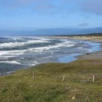 Beach Cleanup Turns Tragic: Man Loses Hand to Mysterious Device