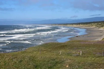 Beach Cleanup Turns Tragic: Man Loses Hand to Mysterious Device