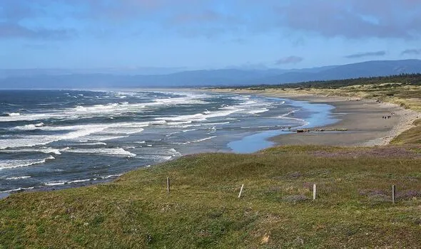 Beach Cleanup Turns Tragic: Man Loses Hand to Mysterious Device Beach Cleanup Turns Tragic: Man Loses Hand to Mysterious Device