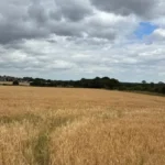 Walsall Residents Oppose Massive Green Belt Housing Development