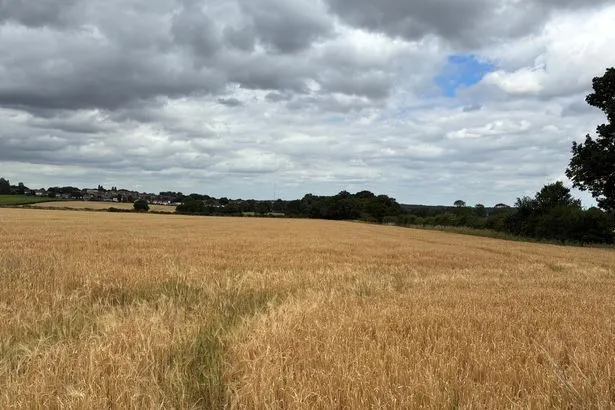 Walsall Residents Oppose Massive Green Belt Housing Development