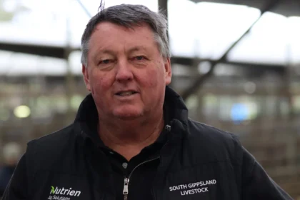Cattle Prices Rise at Leongatha Prime Sale Amid Global Market Shifts