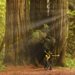 Top 2 Income Investments for Early Retirement