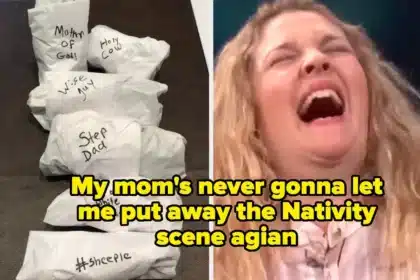 Hilarious Images Offer Glimmers of Joy in Tough Times
