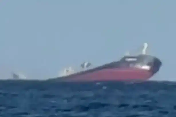 Cargo Ship Sinks in Black Sea After Russian Missile Strike