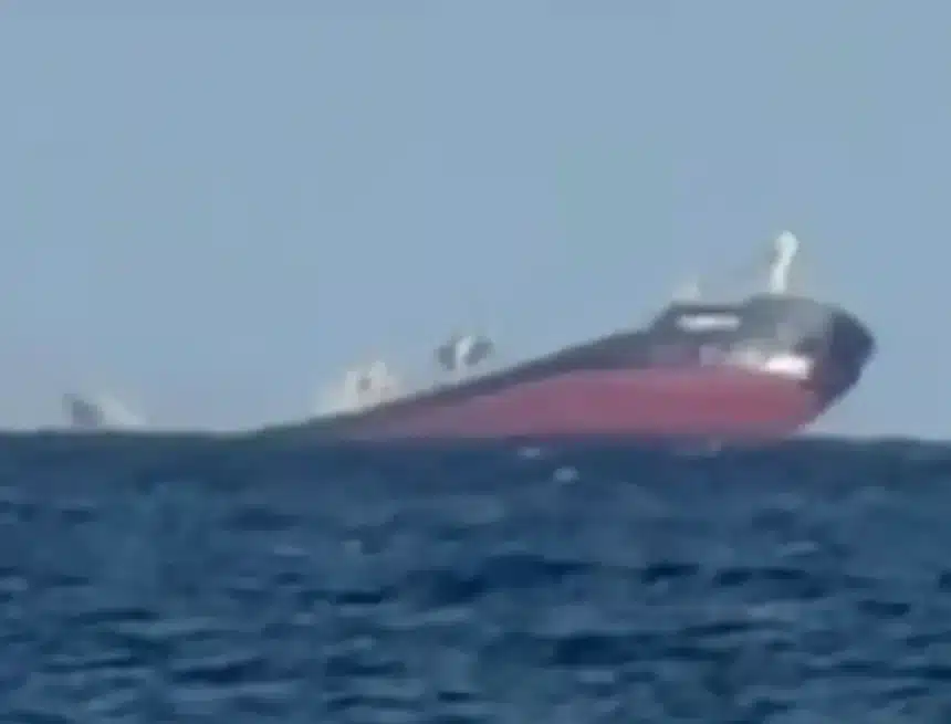 Cargo Ship Sinks in Black Sea After Russian Missile Strike