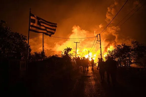 EU Chief Warns of Europe-Wide Wildfires Amid Record Heat