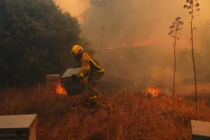 Strong El Niño Fuels Global Warming, UN and Scientists Warn