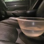 Drive Smarter: The Water Bowl Trick for Fuel Savings