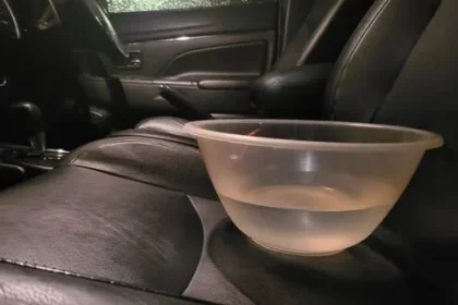 Drive Smarter: The Water Bowl Trick for Fuel Savings