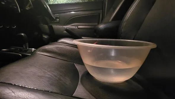 Drive Smarter: The Water Bowl Trick for Fuel Savings Drive Smarter: The Water Bowl Trick for Fuel Savings