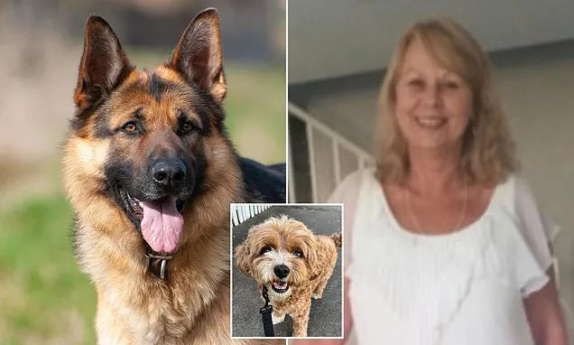 German Shepherd ‘Attack’ Lawsuit Dismissed by NSW Court German Shepherd ‘Attack’ Lawsuit Dismissed by NSW Court