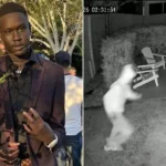 Young Man Dies After Violent Gang Brawl Outside Brisbane Airbnb