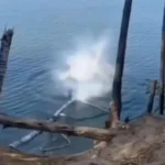 DIY Bungee Jump Gone Wrong: Tourist Seriously Injured by Falling Tree
