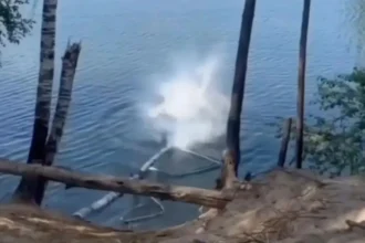 DIY Bungee Jump Gone Wrong: Tourist Seriously Injured by Falling Tree