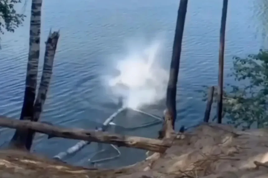 DIY Bungee Jump Gone Wrong: Tourist Seriously Injured by Falling Tree