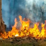Wildfire Smoke & Heat: Indoor Air Quality Challenges