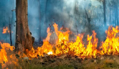 Wildfire Smoke & Heat: Indoor Air Quality Challenges Wildfire Smoke & Heat: Indoor Air Quality Challenges