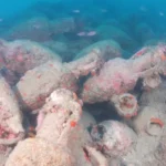 Ancient Roman Shipwreck Found Off Sicily Coast