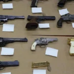 NSW Gun Buyback: Up to 274,000 Firearms Expected in Scheme