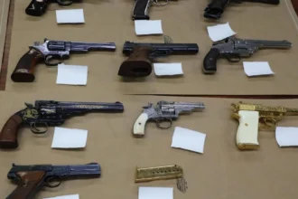 NSW Gun Buyback: Up to 274,000 Firearms Expected in Scheme
