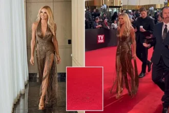 Sonia Kruger’s Gown Sheds Sequins on Logies Red Carpet