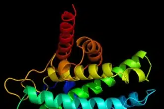 AI Breakthrough: PRIME Predicts Protein Metal-Binding Sites in Seconds