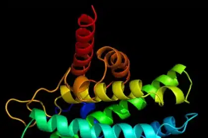 AI Breakthrough: PRIME Predicts Protein Metal-Binding Sites in Seconds