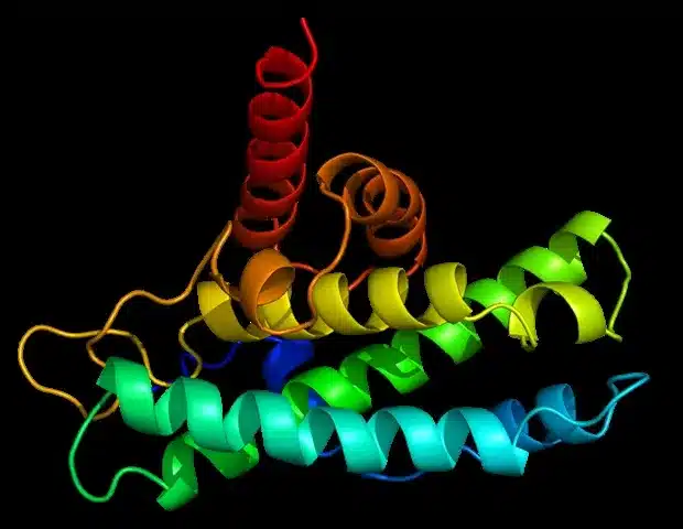 AI Breakthrough: PRIME Predicts Protein Metal-Binding Sites in Seconds AI Breakthrough: PRIME Predicts Protein Metal-Binding Sites in Seconds