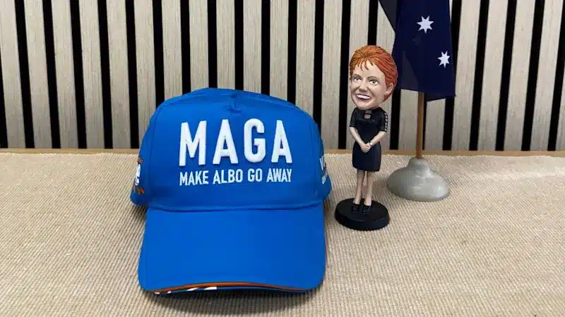 One Nation’s Finances: Merchandise Sales, Candidate Fees, and Legal Costs Revealed One Nation’s Finances: Merchandise Sales, Candidate Fees, and Legal Costs Revealed