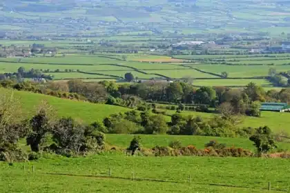 Ireland’s Data Centre Boom: Balancing Growth and Community Concerns