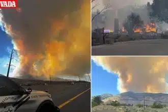 Nevada Hawk Fire Explodes to 10,500+ Acres, Thousands Evacuated