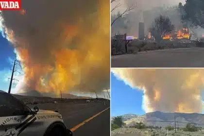 Nevada Hawk Fire Explodes to 10,500+ Acres, Thousands Evacuated
