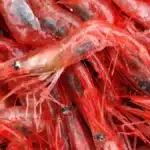 Canada Lifts Tariffs on Seafood and Fish Products