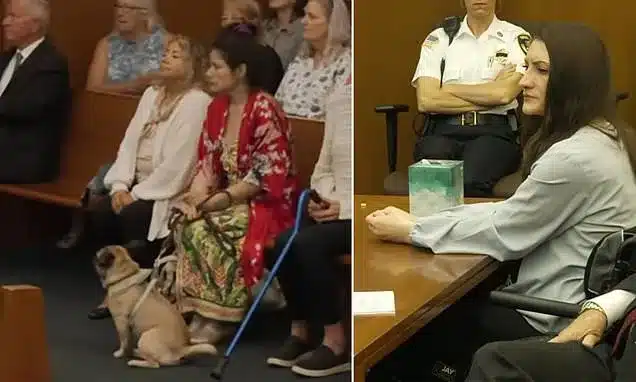 Dog in Court Sparks Outrage During Lindsay Clancy Murder Trial Dog in Court Sparks Outrage During Lindsay Clancy Murder Trial