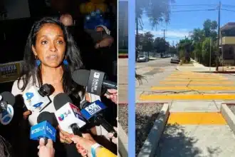 Nithya Raman Faces Online Mockery for Crosswalk Project