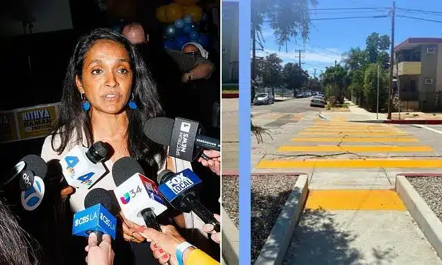 Nithya Raman Faces Online Mockery for Crosswalk Project Nithya Raman Faces Online Mockery for Crosswalk Project