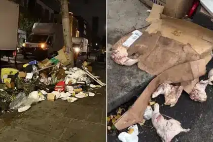 Notting Hill Carnival Aftermath: Massive Clean-Up Amid Record Arrests