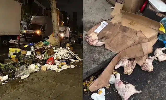 Notting Hill Carnival Aftermath: Massive Clean-Up Amid Record Arrests Notting Hill Carnival Aftermath: Massive Clean-Up Amid Record Arrests