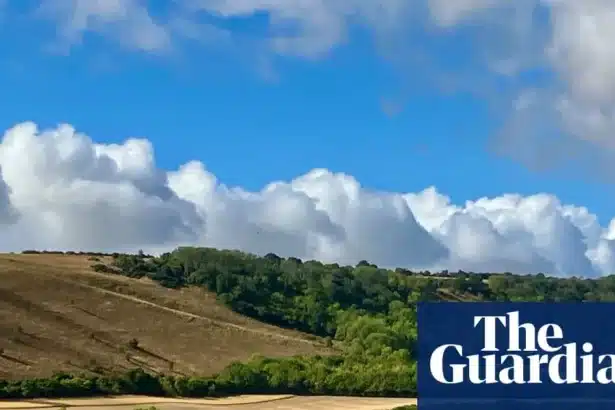 Summer Drought Ends: Rain Transforms Parched Landscape
