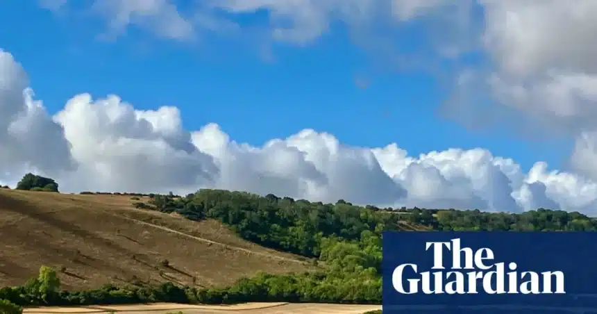 Summer Drought Ends: Rain Transforms Parched Landscape Summer Drought Ends: Rain Transforms Parched Landscape
