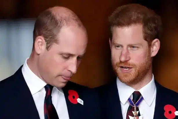 Prince William’s Sad Realization About Harry and Meghan’s Royal Exit