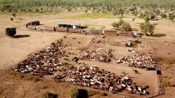Guy Hands’ CPC Buys NT Cattle Station, Expands Land Holdings Guy Hands’ CPC Buys NT Cattle Station, Expands Land Holdings
