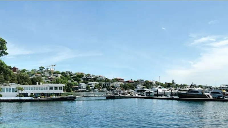 Rose Bay Marina Expansion Blocked Amid Harbour View Concerns Rose Bay Marina Expansion Blocked Amid Harbour View Concerns