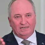 Barnaby Joyce Distances One Nation from German Far-Right AfD