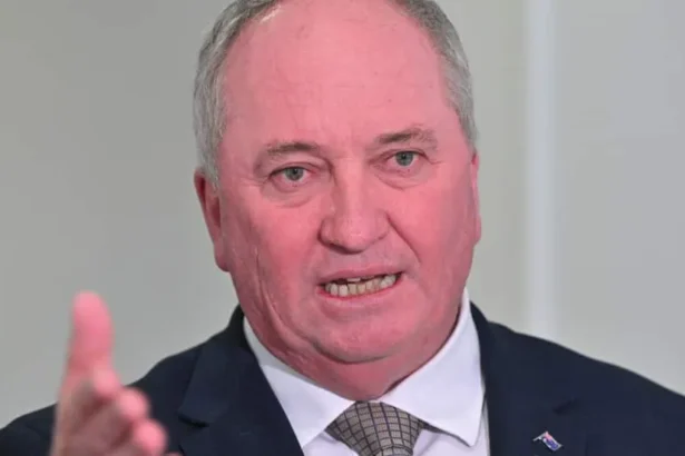 Barnaby Joyce Distances One Nation from German Far-Right AfD